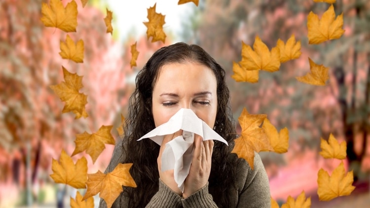 Cómo mantenerse sano durante el otoño y el invierno