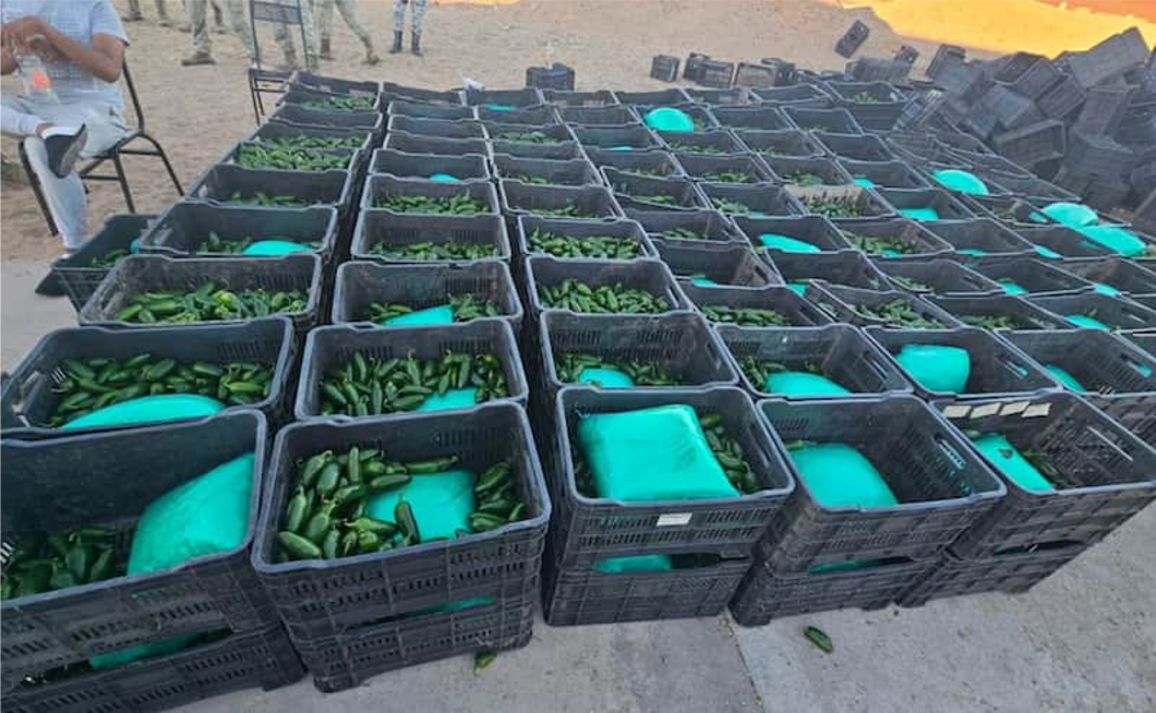 Aseguran media tonelada de droga oculta entre cajas de chile en Sonora