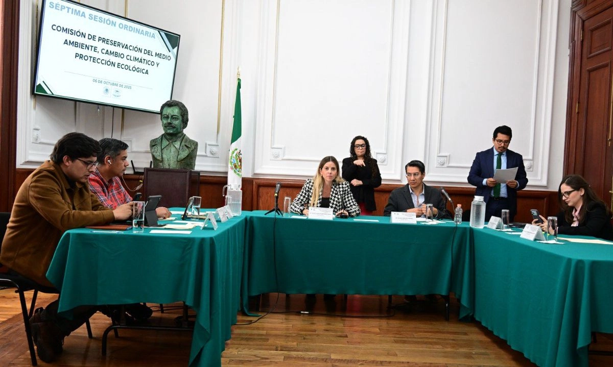 Mónica Vietnica Alegre González, propuesta para encabezar la PAOT en el periodo 2025-2029