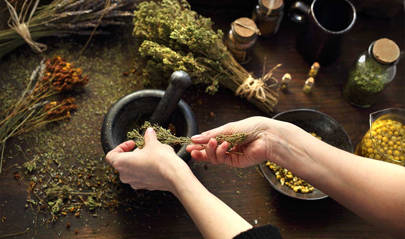 Herbolaria mexicana para el día a día: usos prácticos y seguros de plantas que siguen vivas en la tradición