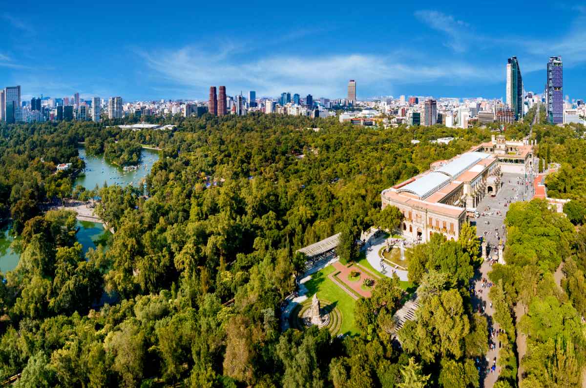 Chapultepec se recupera: rescatan área verde convertida en tiradero clandestino