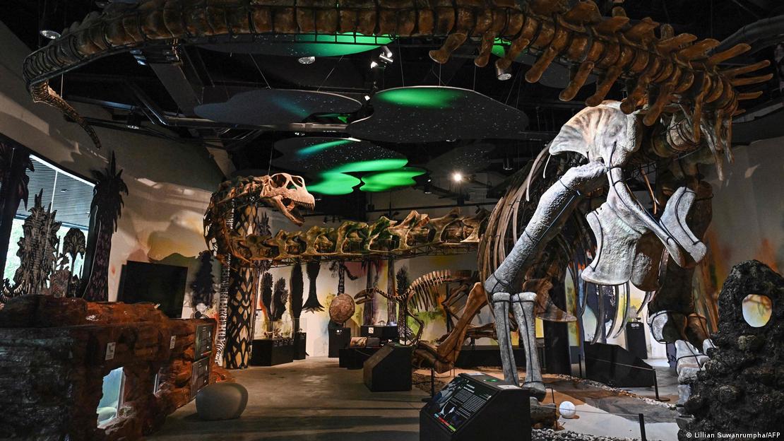 Descubren en Tailandia al “último titán”: un dinosaurio gigante de 27 toneladas que dominó Asia hace 120 millones de años
