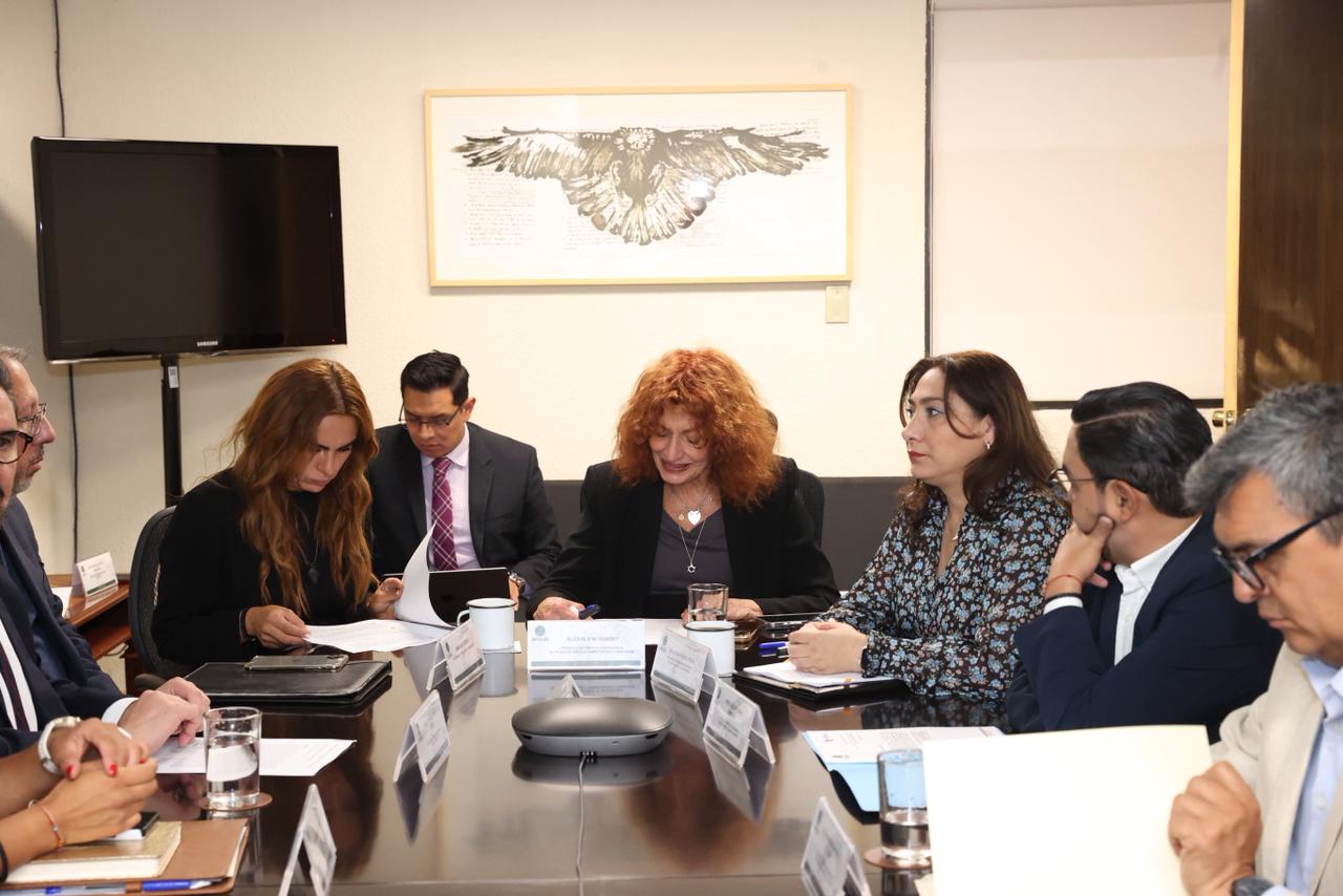 Cámara de Diputados declara parcialmente confidenciales expedientes de aspirantes al INE